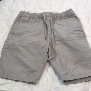 Express Size 30 Grey Shorts